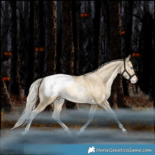 Horse Color:Silver Bay Snowdrop Dun Tobiano Appaloosa Rabicano