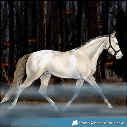Horse Color:Brown Snowdrop Pearl Dun Splash Tobiano Appaloosa Rabicano 