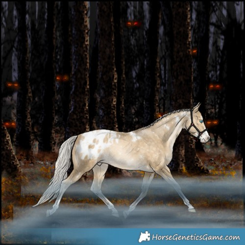 Horse Color:White Spotted Silver Bay Snowdrop Pearl Splash Tobiano Appaloosa Rabicano 