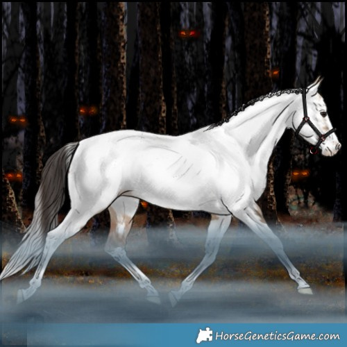 Horse Color:Bay Dun Splash Tobiano Appaloosa Rabicano 