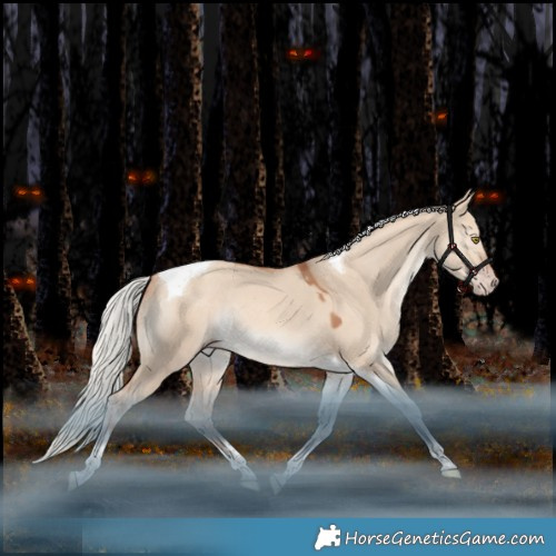 Horse Color:Silver Amber Champagne Dun Tobiano Rabicano 