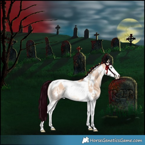 Horse Color:White Spotted Silver Amber Champagne Dun Splash Tobiano Appaloosa Rabicano 