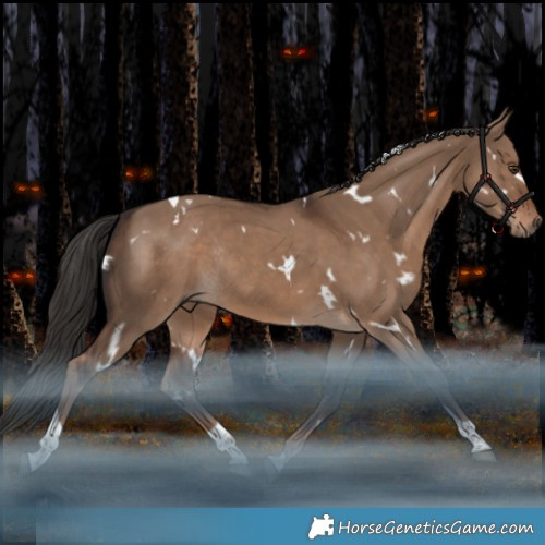 Horse Color:White Spotted Liver Red Dun Tobiano Rabicano 