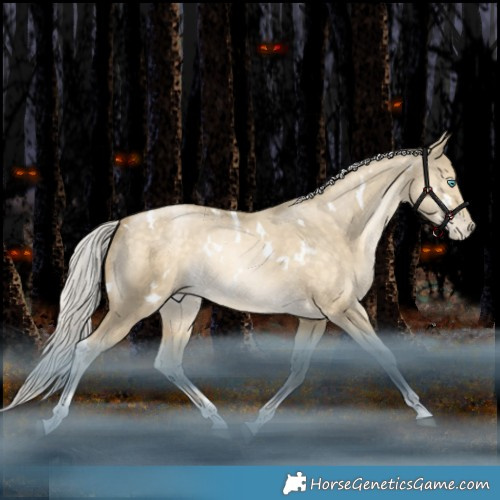 Horse Color:White Spotted Silver Bay Snowdrop Dun Tobiano Rabicano 