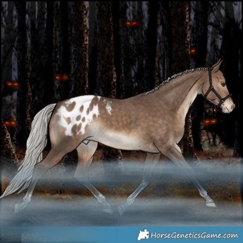 Horse Color:Silver Brown Dun Tobiano Appaloosa Rabicano 