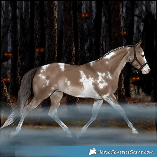 Horse Color:White Spotted Liver Red Dun Splash Tobiano Rabicano