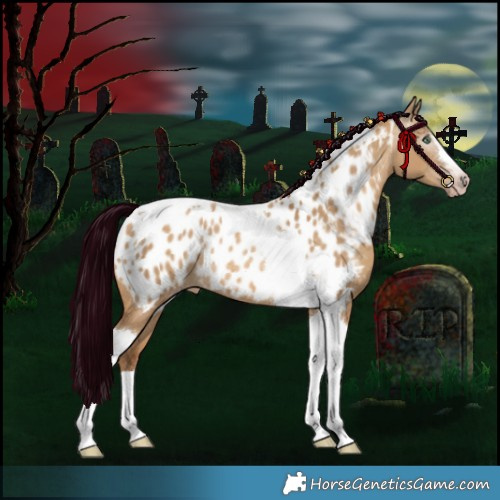 Horse Color:Gray Silver Amber Champagne Dun Tobiano Appaloosa Rabicano 