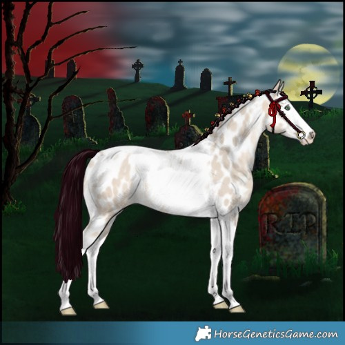 Horse Color:Sable Champagne Dun Splash Tobiano Appaloosa Rabicano
