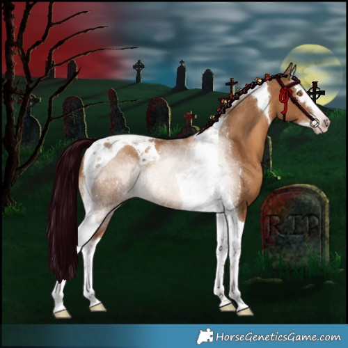 Horse Color:Gray Silver Classic Champagne Splash Tobiano 