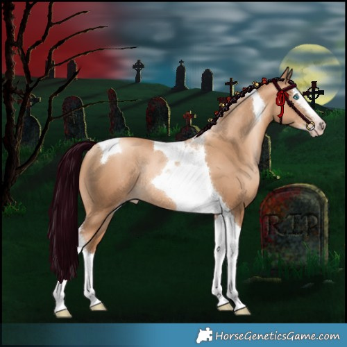 Horse Color:Gray Gold Champagne Snowdrop Pearl Splash Tobiano Rabicano 
