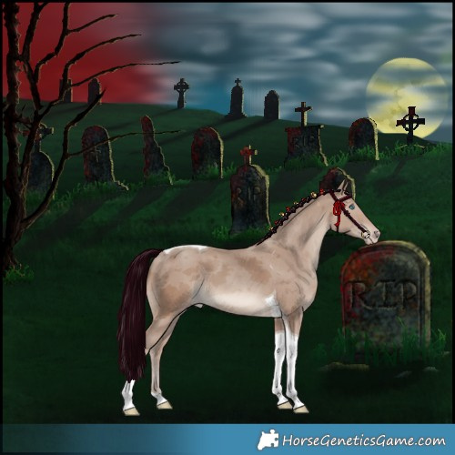 Horse Color:Classic Champagne Merle Tobiano 