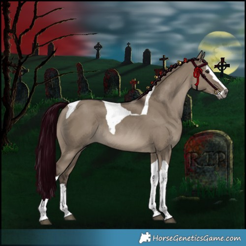 Horse Color:Gray Silver Grullo Splash Tobiano 