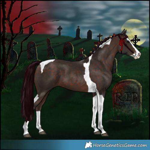 Horse Color:Silver Brown Splash Tobiano 