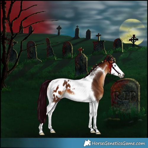 Horse Color:Gray Silver Bay Splash Tobiano Appaloosa 