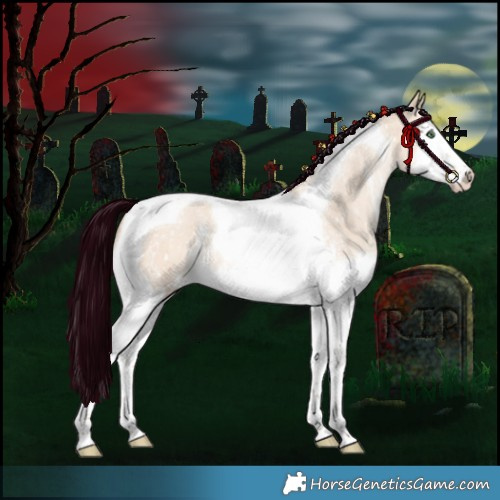 Horse Color:Silver Classic Champagne Dun Sabino Splash Tobiano Appaloosa 