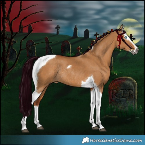 Horse Color:Gray Red Dun Splash Tobiano Rabicano 