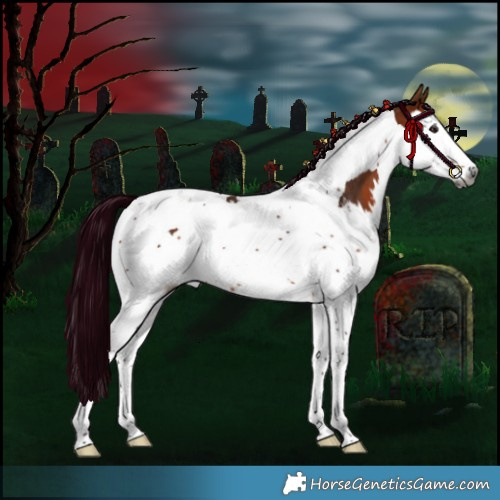 Horse Color:Gray Silver Bay Splash Tobiano 