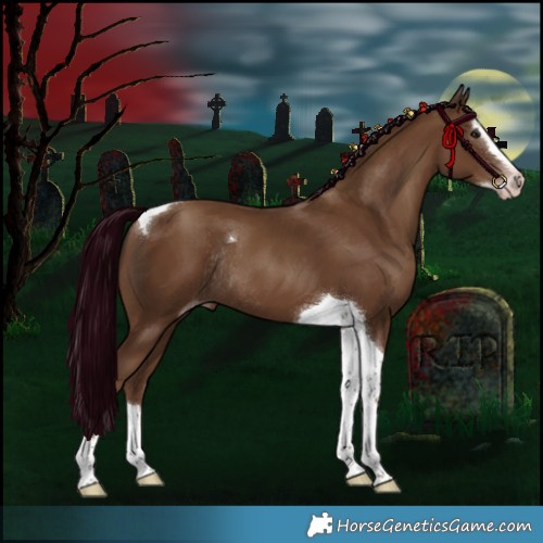 Horse Color:Gray Classic Champagne Splash Tobiano Rabicano 