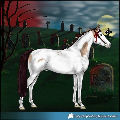 Horse Color:Gray Silver Bay Roan Dun Splash Tobiano Rabicano 