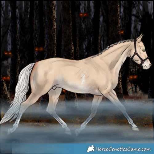 Horse Color:Silver Amber Champagne Dun Sabino Tobiano Appaloosa Rabicano 