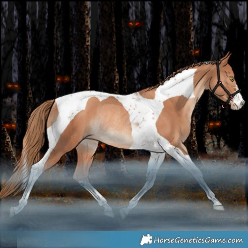 Horse Color:Gold Champagne Tobiano Rabicano