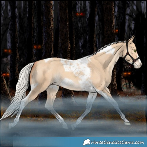 Horse Color:Silver Amber Champagne Dun Tobiano Frame Appaloosa Rabicano 