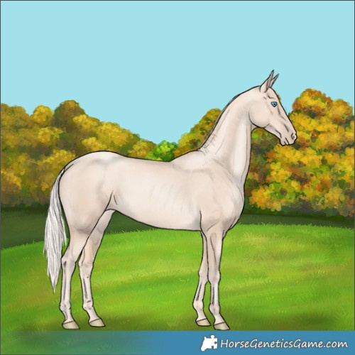 Horse Color:Gold Cream Champagne Pearl 