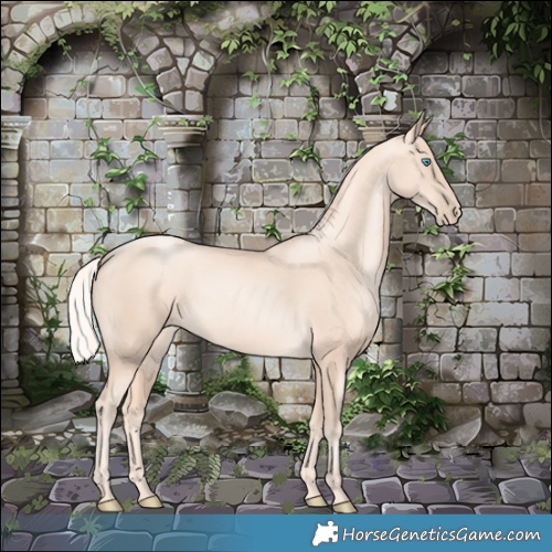 Horse Color:Gold Cream Champagne Pearl 
