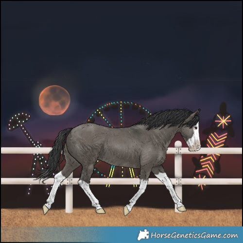 Horse Color:Grullo Splash 