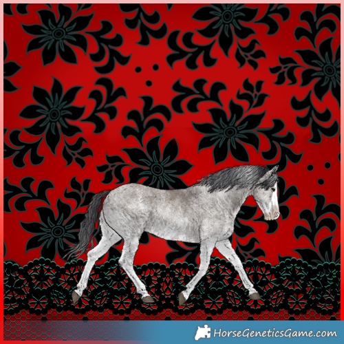 Horse Color:White Spotted Grullo Splash Rabicano 
