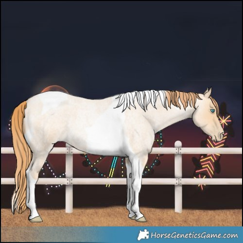 Horse Color:Buckskin Roan Pearl Tobiano 