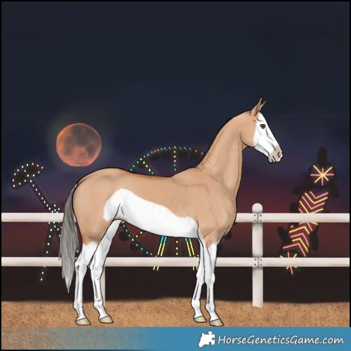 Horse Color:Bay Dun Splash Frame 