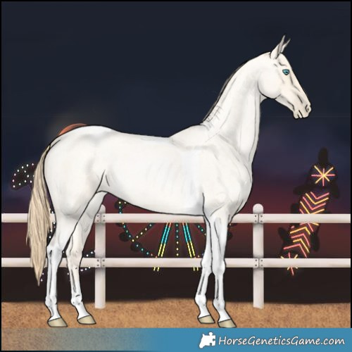 Horse Color:Buckskin Roan Pearl Tobiano 