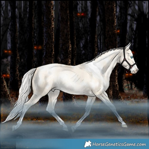 Horse Color:White Spotted Silver Sable Champagne Snowdrop Pearl Dun Splash Appaloosa Rabicano
