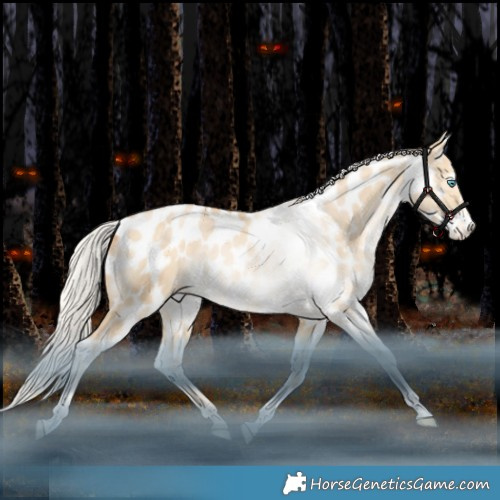Horse Color:White Spotted Silver Bay Snowdrop Pearl Dun Tobiano Appaloosa Rabicano