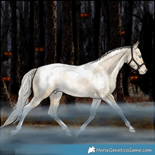 Horse Color:White Spotted Silver Smoky Grullo Pearl Tobiano Appaloosa Rabicano