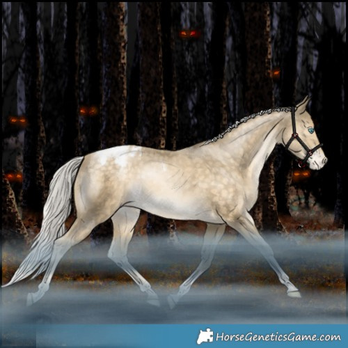 Horse Color:Silver Brown Snowdrop Pearl Tobiano Appaloosa Rabicano