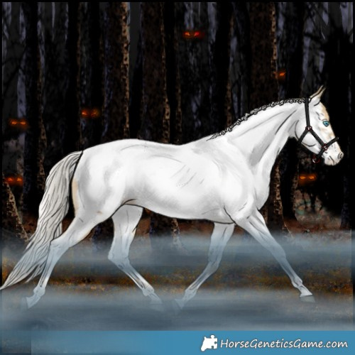 Horse Color:White Spotted Silver Black Snowdrop Tobiano Appaloosa Rabicano 