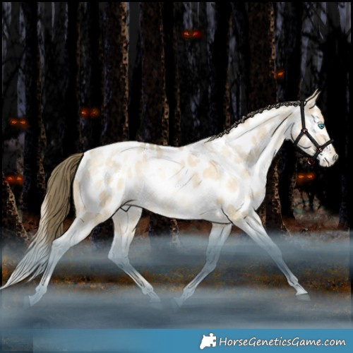 Horse Color:White Spotted Bay Snowdrop Dun Appaloosa Rabicano