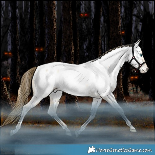 Horse Color:White Spotted Bay Snowdrop Dun Appaloosa Rabicano 