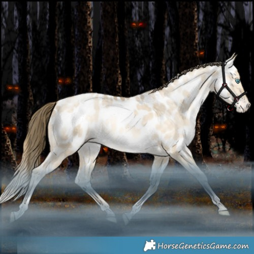 Horse Color:Brown Snowdrop Pearl Dun Tobiano Appaloosa Rabicano