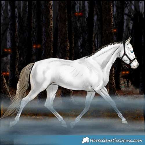 Horse Color:White Spotted Bay Snowdrop Dun Appaloosa Rabicano