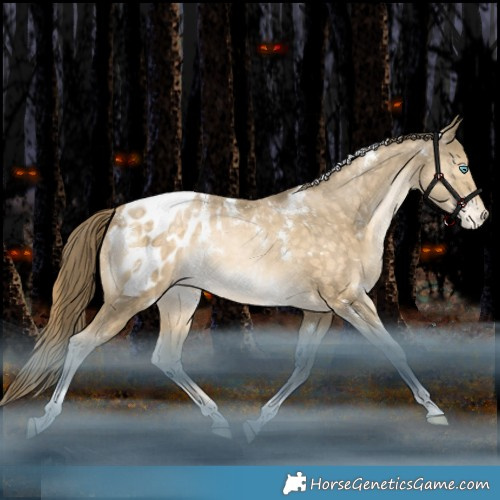 Horse Color:White Spotted Bay Snowdrop Pearl Tobiano Appaloosa Rabicano 
