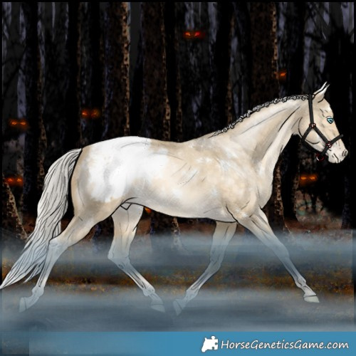 Horse Color:White Spotted Silver Brown Snowdrop Pearl Dun Appaloosa Rabicano