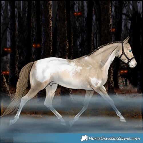 Horse Color:White Spotted Black Snowdrop Pearl Tobiano Appaloosa Rabicano 