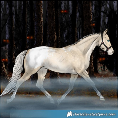 Horse Color:Silver Bay Snowdrop Dun Tobiano Appaloosa Rabicano