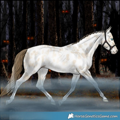 Horse Color:White Spotted Bay Snowdrop Dun Tobiano Appaloosa Rabicano 