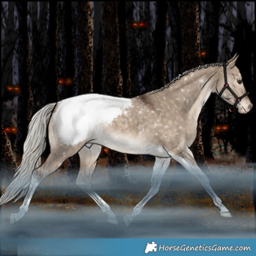 Horse Color:Silver Bay Dun Tobiano Appaloosa Rabicano