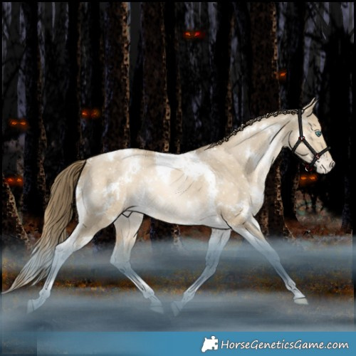 Horse Color:White Spotted Grullo Snowdrop Pearl Tobiano Appaloosa Rabicano