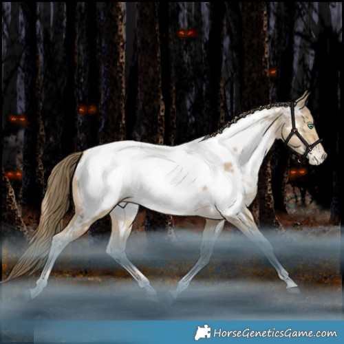 Horse Color:Black Snowdrop Tobiano Appaloosa Rabicano 